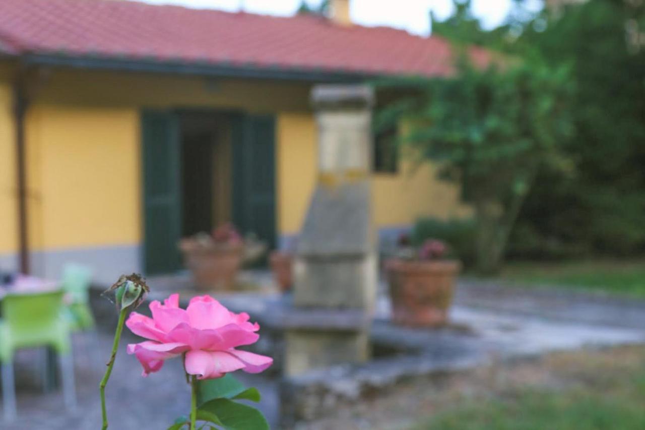 Osteria di Novoli Casa Con Giardino In Mugello A 30 Minuti Da Firenze "Soleluna" מראה חיצוני תמונה